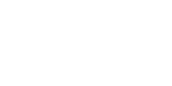 Cisco 250 x 125 px