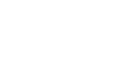 Hikvision 250 x 125 px